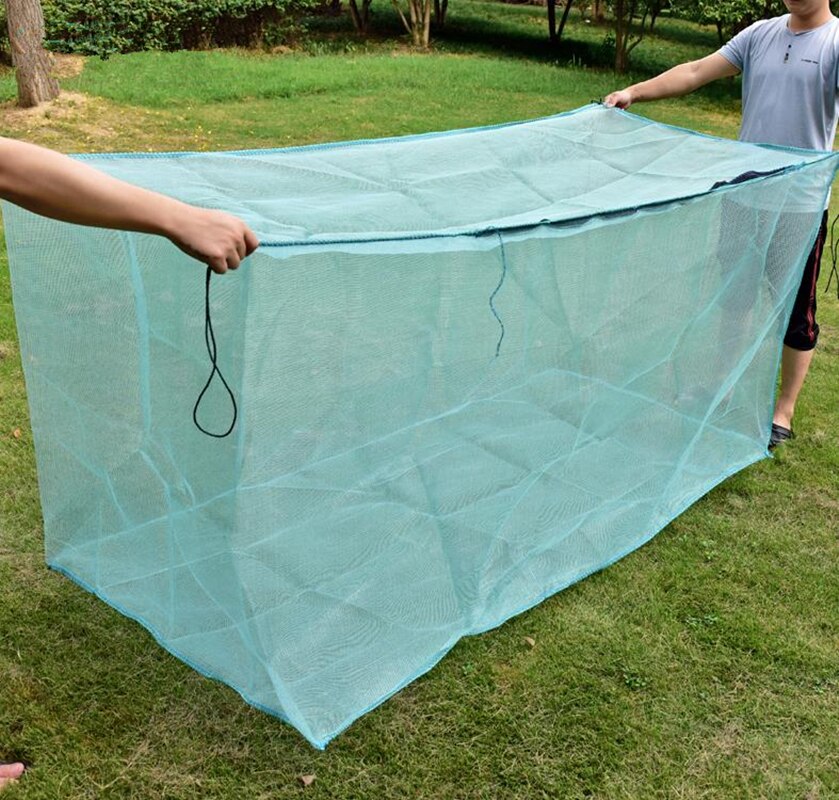 Filet de pêche avec Cage en maille, petit filet pour attraper des poissons, boîte, Aquarium, étang, Cage carrée, piège, branx