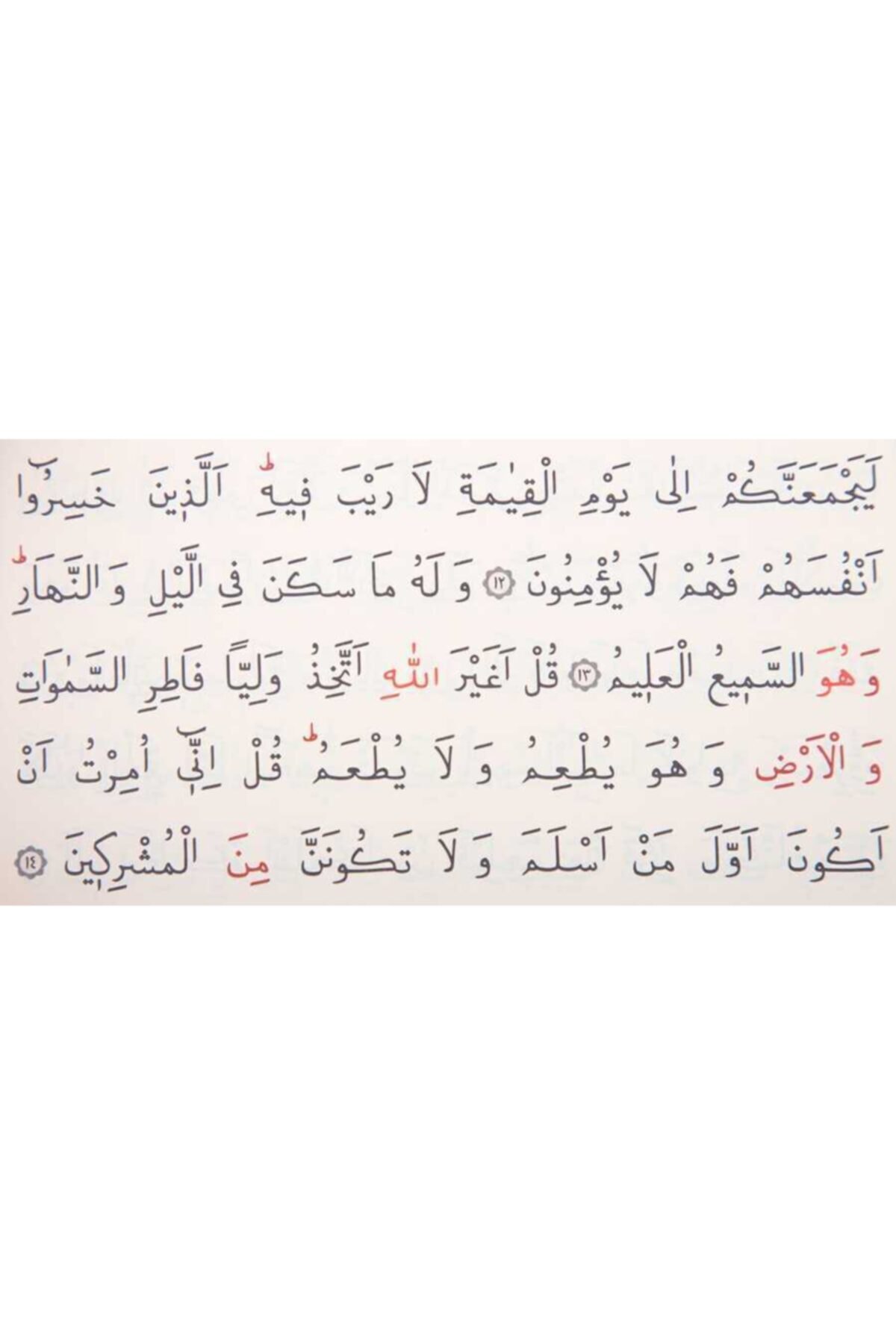 Charity broadcasts custom red velvet cover holy quran large pocket size embroidered gilt sealed holy bible Lord KF0287