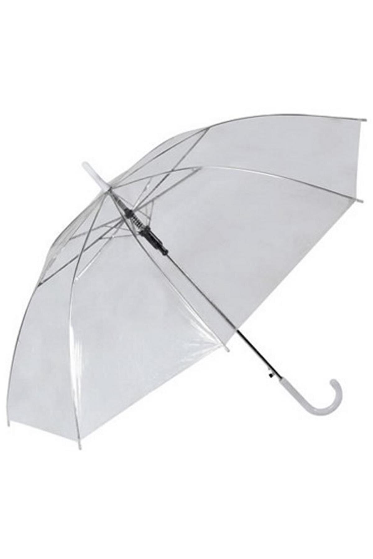 Parapluie Transparent
