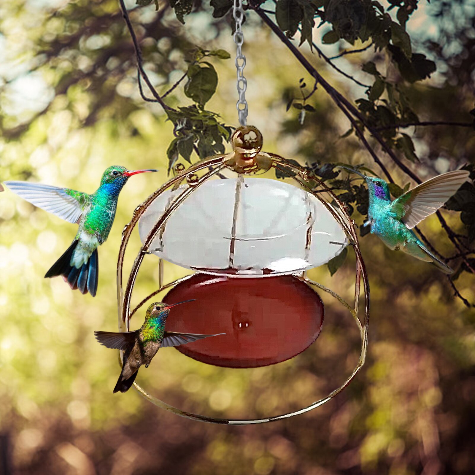 Dome Top Hummingbird Feeders Portable Exquisite PlasticsIron Humming Bird Feeders With Hook For Small Birds Courtyard Bird