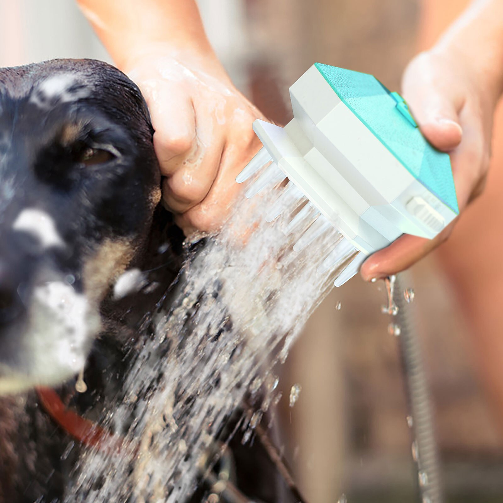 Brosse de bain 3 en 1 pour chien, pommeau de douche, pulvérisateur, distributeur de shampoing et de Gel douche, accessoire de toilettage pour chiens et chats