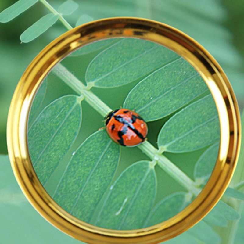 10X Portable Handheld HD Reading Magnifier Glass Mahogany Handle Reading Books Newspapers Insect Observation Classroom Science