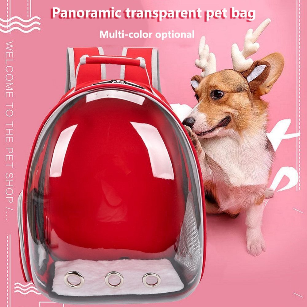 Portable Full Transparent Pet Backpack Three Holes Breathable Dog Cat Outdoor Travel Packbag Zipper Mesh Pet Out Bag