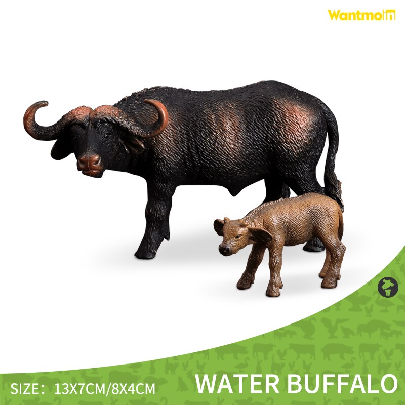 Wild Animals Model Family with Kangaroo Hippo Rhino Tiger Zebra/Realistic Wildlife Collection action figure for kids: buffalo
