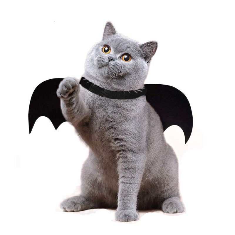 Halloween kæledyr hunde kostumer flag vinger sort sød fancy kjole op halloween kæledyr hund kat kostume med snor