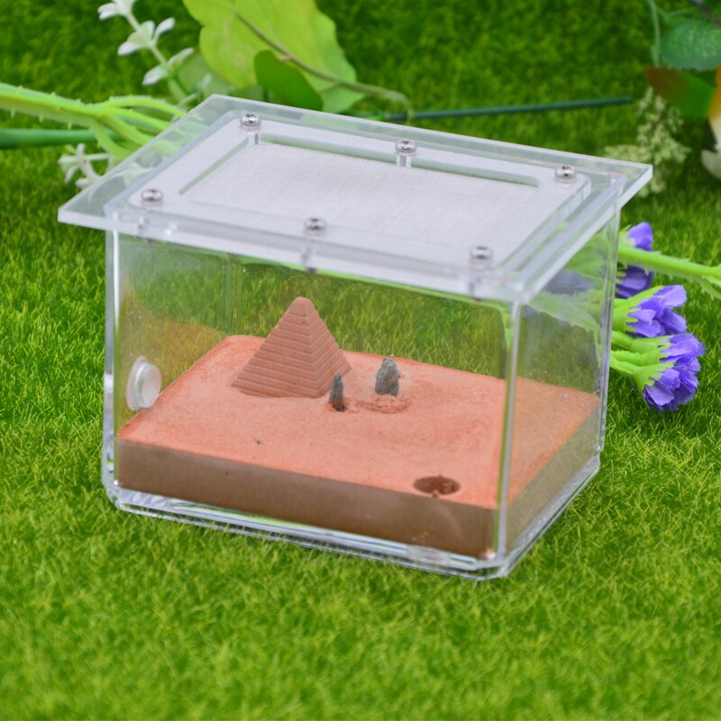 Concrete Ant Nest Acrylic Ant Farm Workshop Flat Nest Gypsum Landscaping Ant Nest 9x9x7cm: Color-A