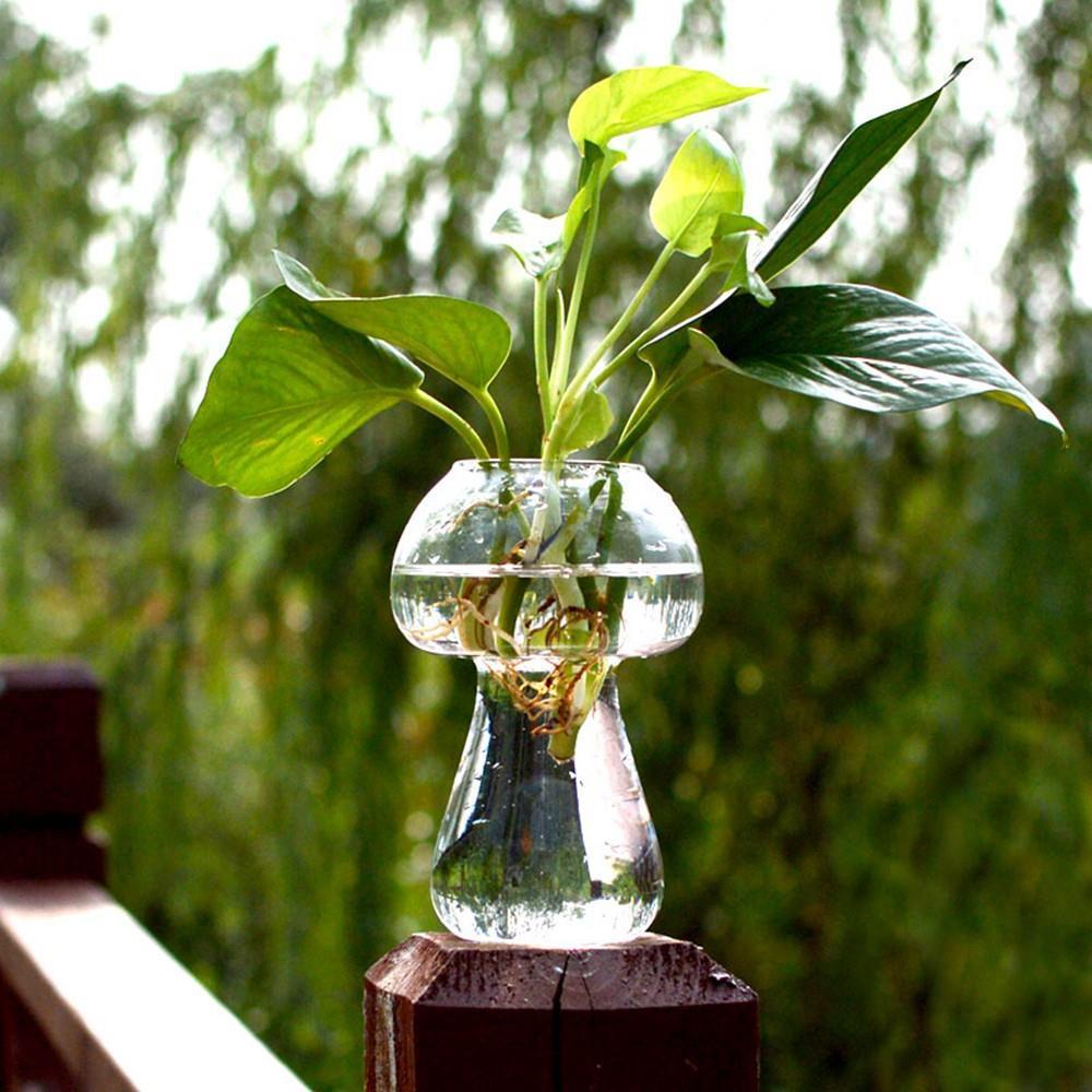 8 x 8 x 12cm glas blomhållare trädgård deocr svampformad behållare hem europeisk transparent modern stil ornament