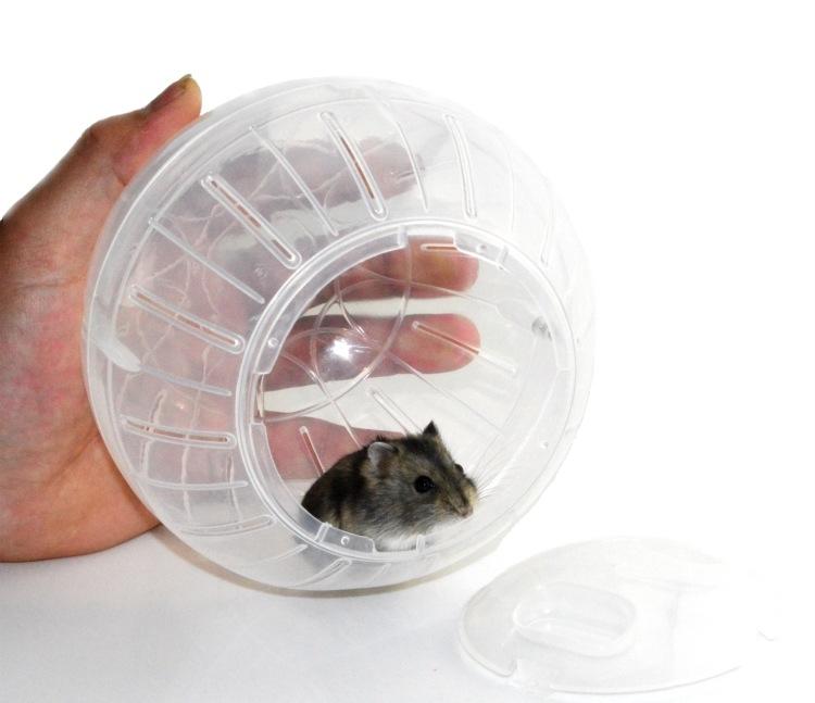 Hamster plástico jogging bola hamster esporte roda ratos brinquedo hamster exercício roda gerbil rato jogar brinquedos pet hamster jogging bola