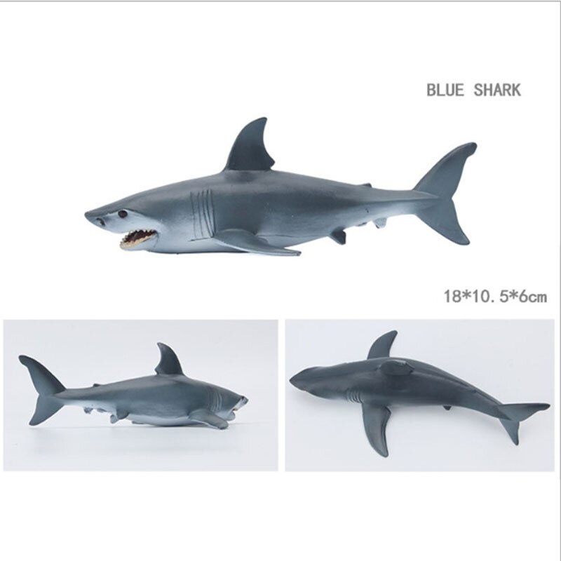 Educational toys for children simulated animal ocean great white shark seabed creatures girls toys for kids school learning: Blue shark