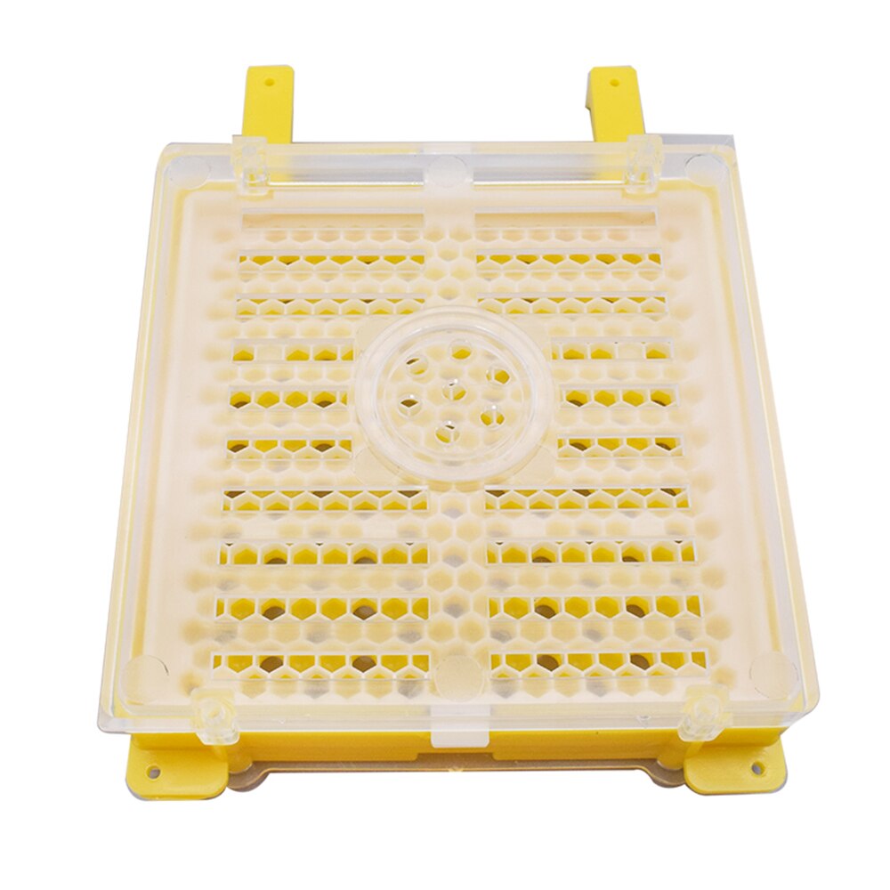 Boîte d'élevage d'abeille Kit d'élevage de reine incubateur d'abeille outil d'apiculture cellule de reine Kit complet d'élevage de reine système d'élevage apicole