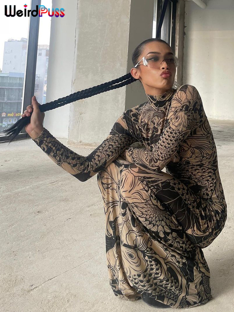 Raar Poes Mesh Print Vrouwen Maxi Jurk Coltrui Volledige Mouw Bodycon Herfst Trendy Hipsters High Street Party Y2K Kledij