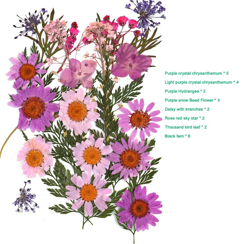 Bra hälsosam pressad blomma blandade torkade blommor gör-det-själv konst blomdekor samling hantverk gör-det-själv: A 9