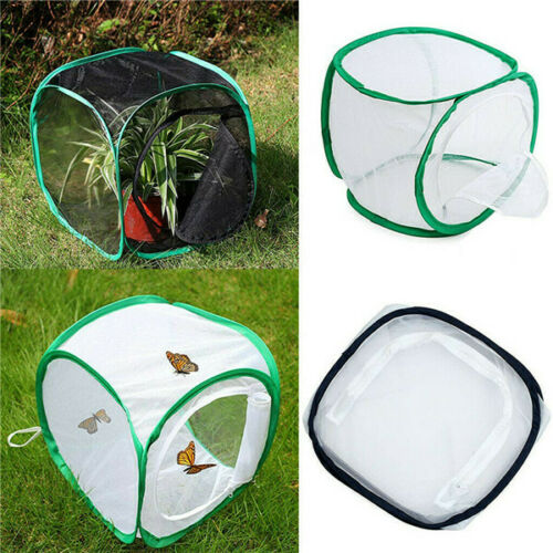 Newest Foldable Mesh mantis Cage For Insect//Praying Feeding Housing Enclosure
