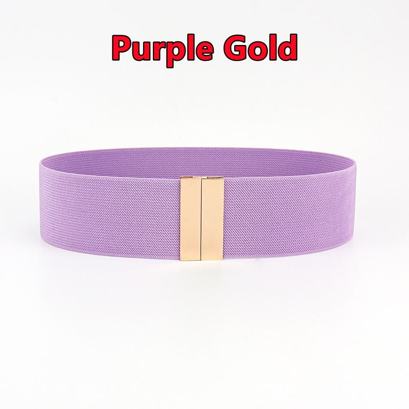 Cinturones anchos con banda elástica para mujer, cinturón sencillo para abrigo, hebilla femenina, correa negra, accesorios de decoración para vestido: Azul cielo