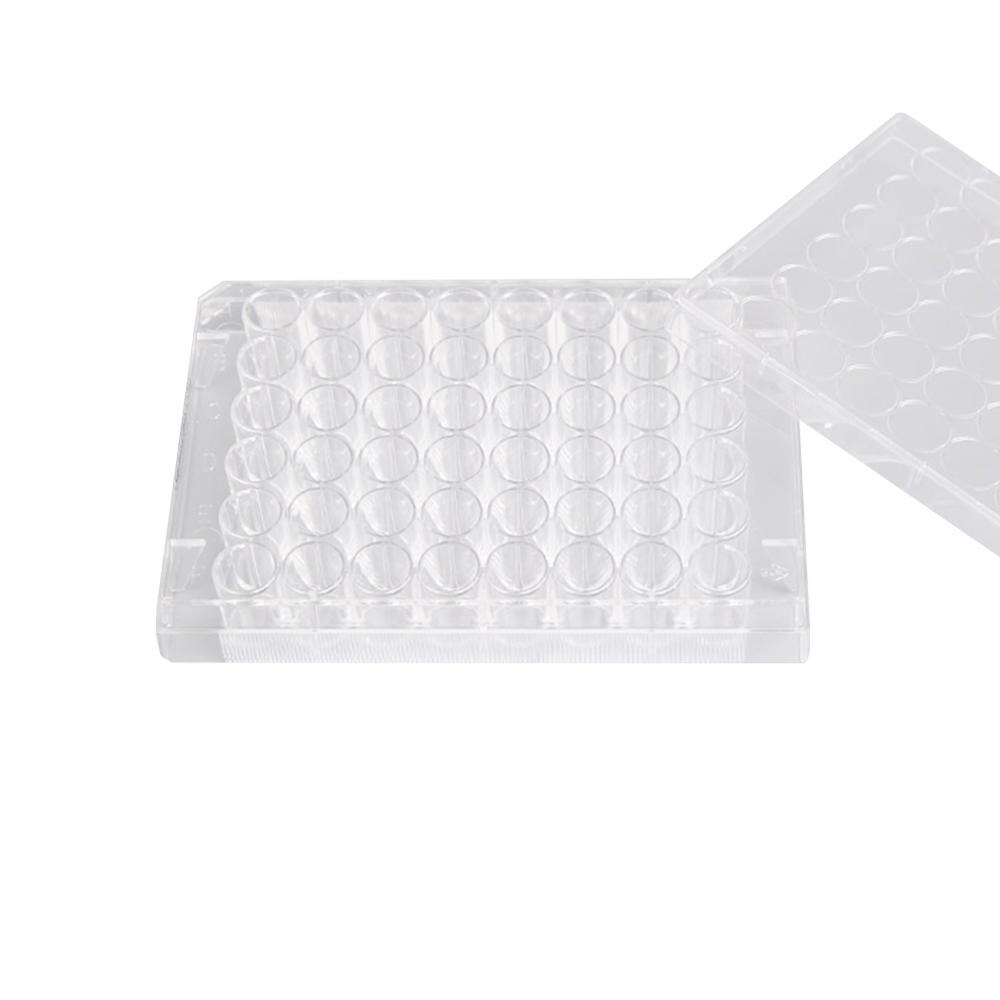 Laboratorieforsyning cellekulturplade tc overflade porøs steril dyrkningsplade eksperimentelt værktøj