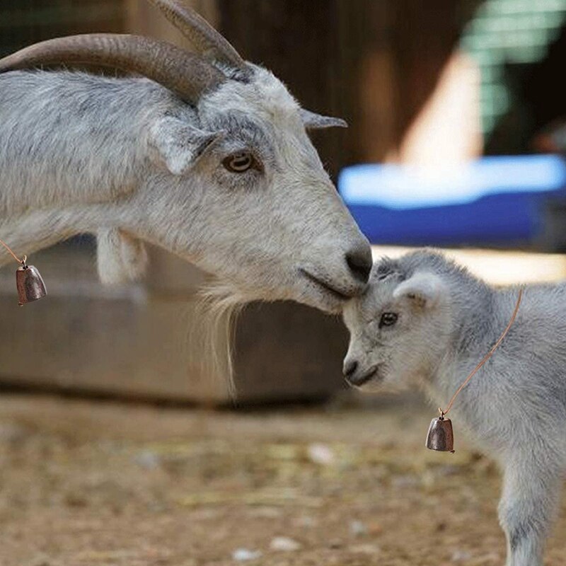 6 Stuks Metalen Koe Bel, Koebel Retro Bel Voor Paard Schapen Grazen Koper, Koe Bells Lawaai Makers