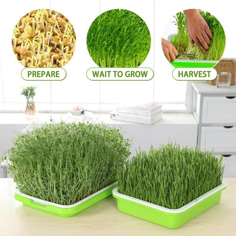 Bandeja de plantación hidropónica de plástico, bandeja de plantación de plántulas de guisante para el hogar, olla de germinación de brotes de soja, suministros de jardinería