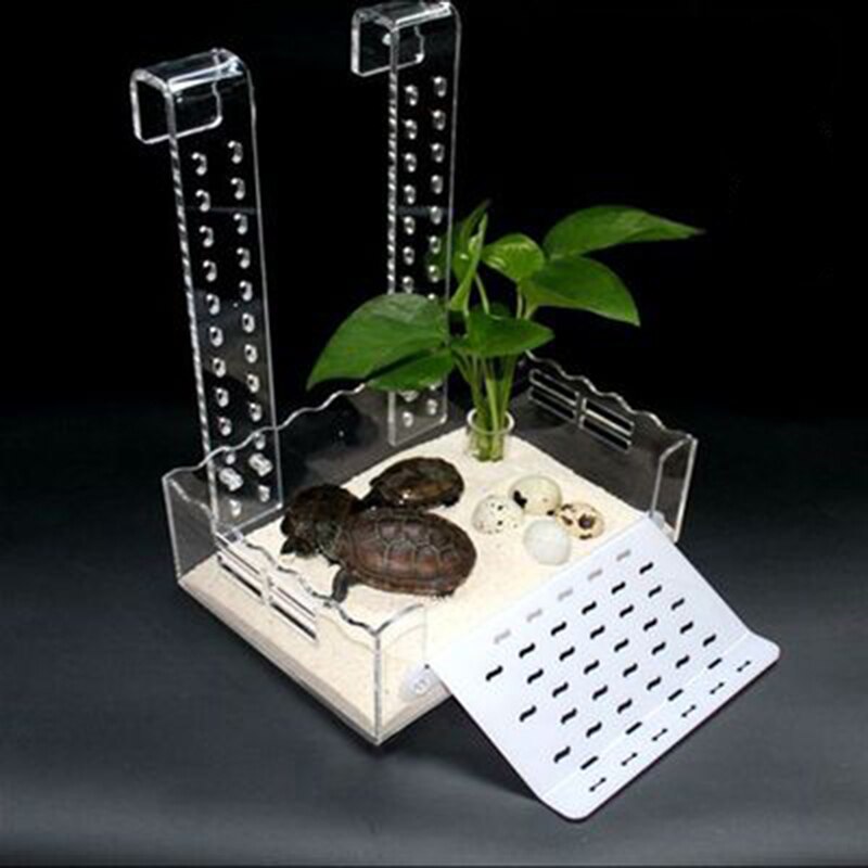 Turtle Basking Platform Height-Adjustable Hanging Amphibian Platform Fish Tank Aquarium Platform Tortoise Resting Terrace