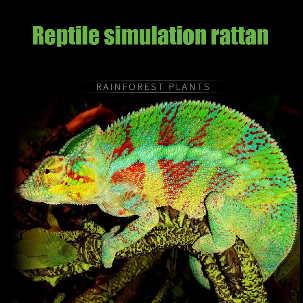 Haustier Lebensraum Dekor Reptil Simulierte Rattan Regenwald Faltbare Dekoration Für Eidechsen Frösche Schlangen Haustier Terrarium Dekoration