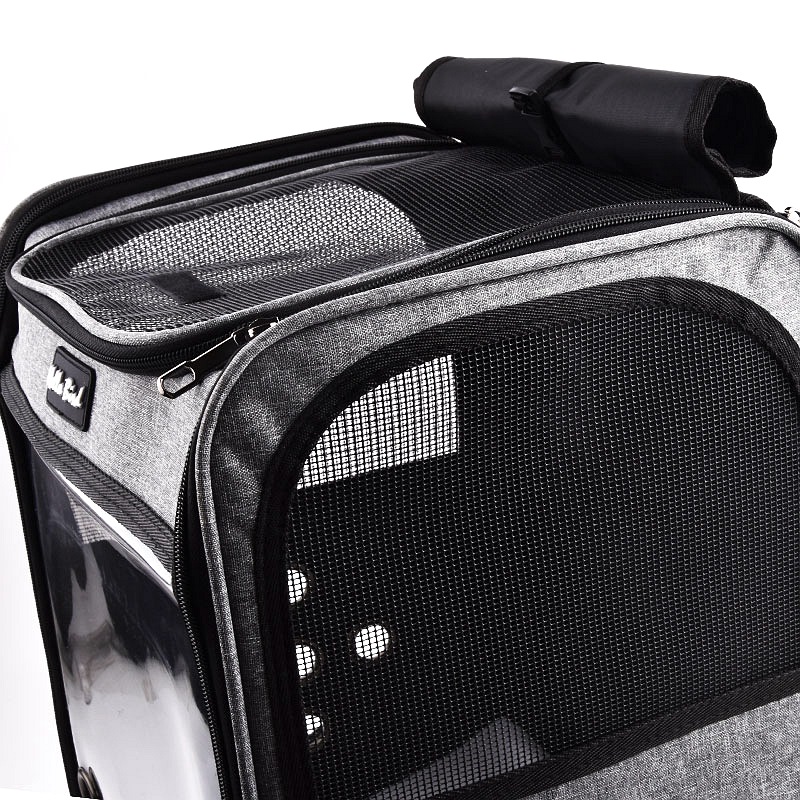 Sac à dos pour perroquets, Cage de transport pour oiseaux, ensemble de voyage pour animaux de compagnie, respirant, Double épaule, Cage de voyage sortante