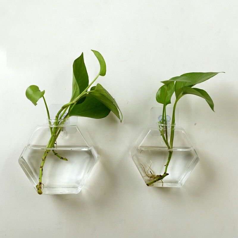 Sekskantet væghængende glas plante blomstervase hydroponisk akvarium boligdekoration sender sømløs nal