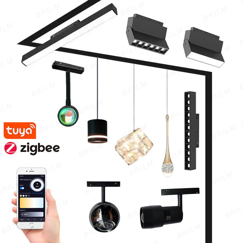 Zigbee3.0 luz de pista magnética inteligente tuya alexa dc48v led ponto grade de inundação lâmpadas pingente moderna casa sala estar preto