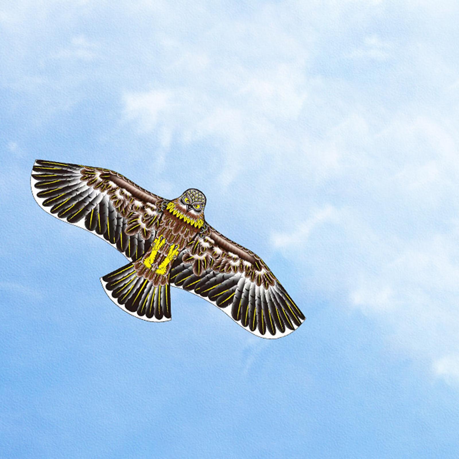 Realistic Eagle Kite Family Outdoor Games for outdoor game activities