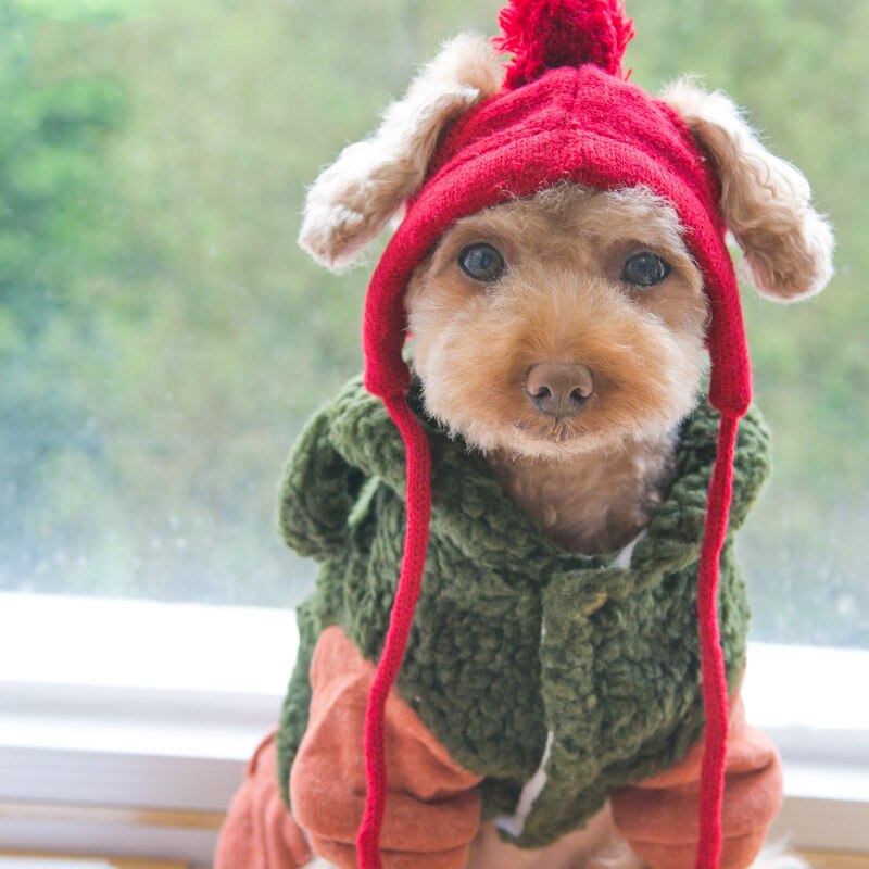 Luksus strikning kæledyr hatte tørklæde vinterpleje tilbehør sæt rød sort grå bomuld katte hunde forsyninger til chihuahua yorkshire