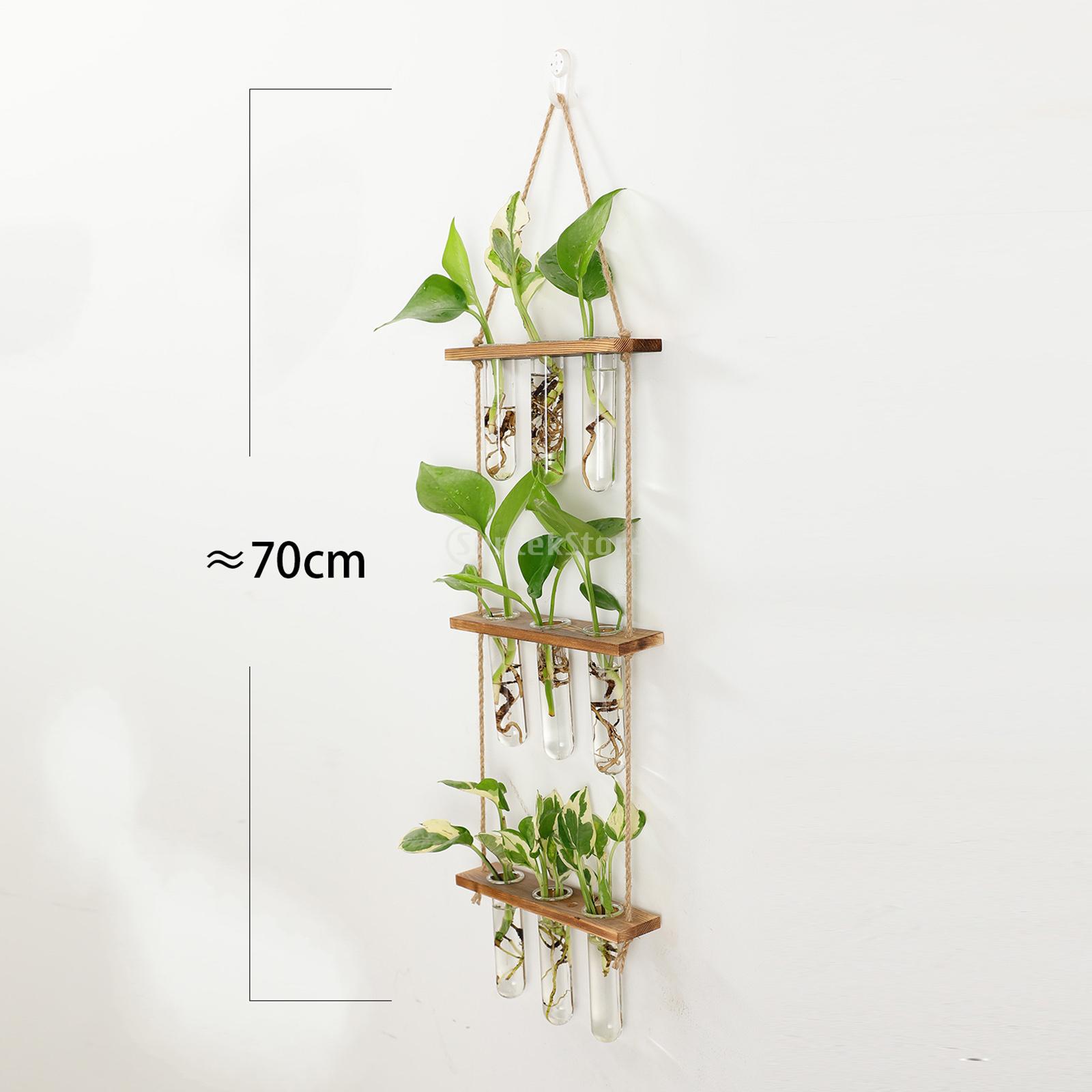 Prüfung Rohre Glas Pflanzer Zauberstab Hängen Terrarium Container Blume Knospe Vase mit Holz Halfter für Ausbreitung Wasserkulturanlage