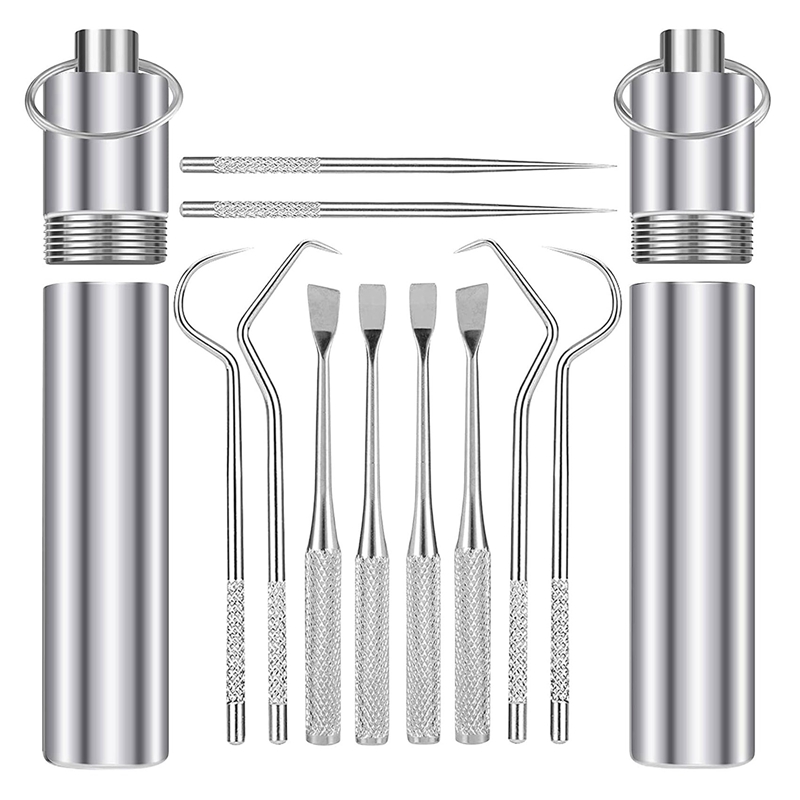 5 Stuk Set Van 2 Stuk Draagbare Pocket Rvs Tandenstokers, geschikt Voor Outdoor Kamperen En Picknick Trips