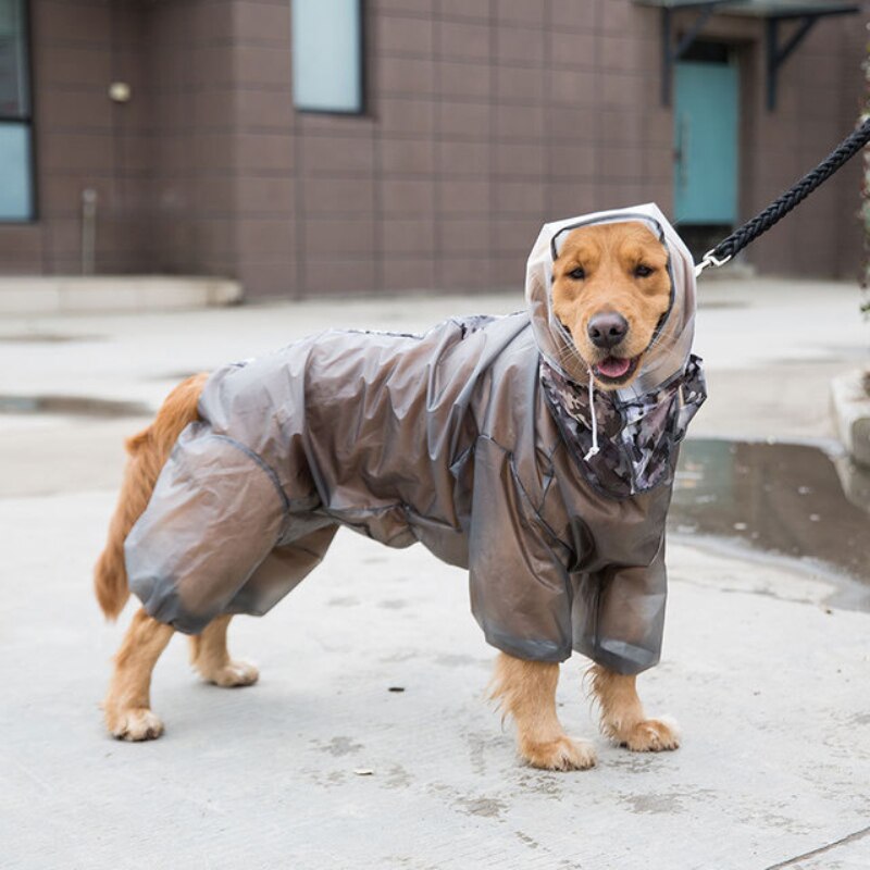 Grote hondenregenjas, grote hondenregenjas, waterdichte kleding, huisdierregenjas met capuchon, samojeed, husky, golden retriever, labradorregenjas: Zwart / 5xl