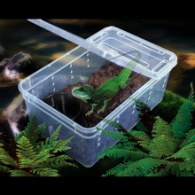 for Habitat lizard insect Amphibian Frog Spider 19*12.5*7.5CM Plastic Small Reptile Pets Feeding Cage Box