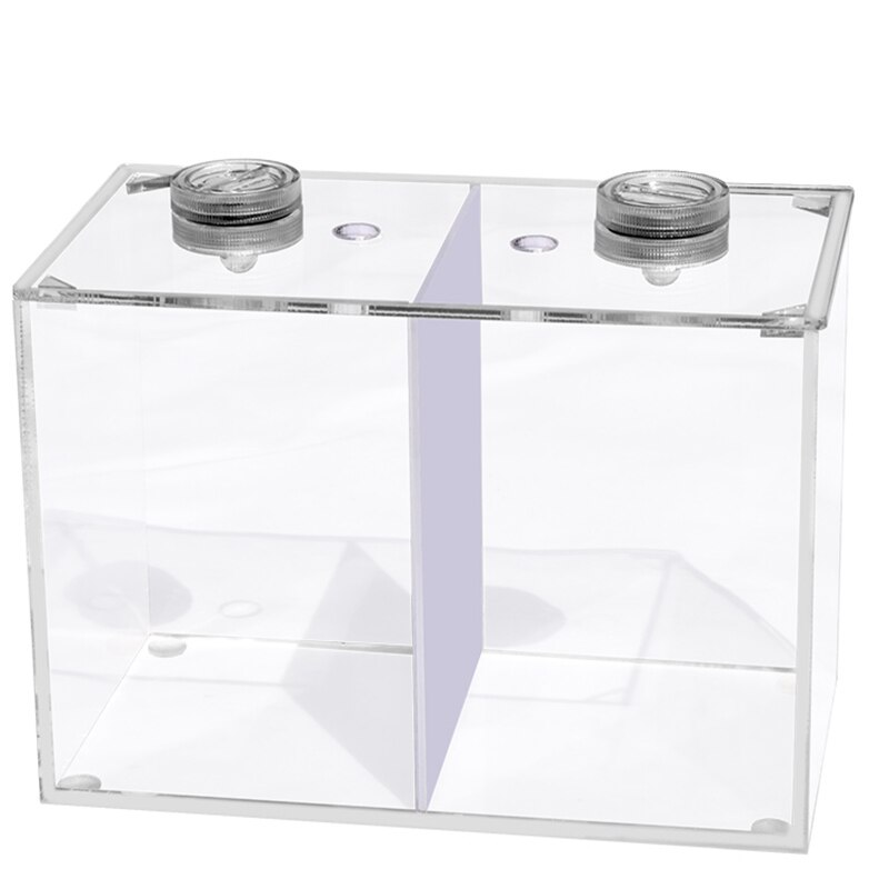Caja de cría de peces transparente de doble rejilla, decoración creativa de escritorio, Mini acuario con luz