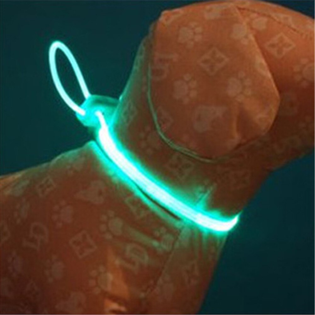 1 stk. led kæledyrs krave justerbar kæledyrs sikkerhed træk kabel nat krave lysende lampe til hunde lys krave snor vandproo: Grøn