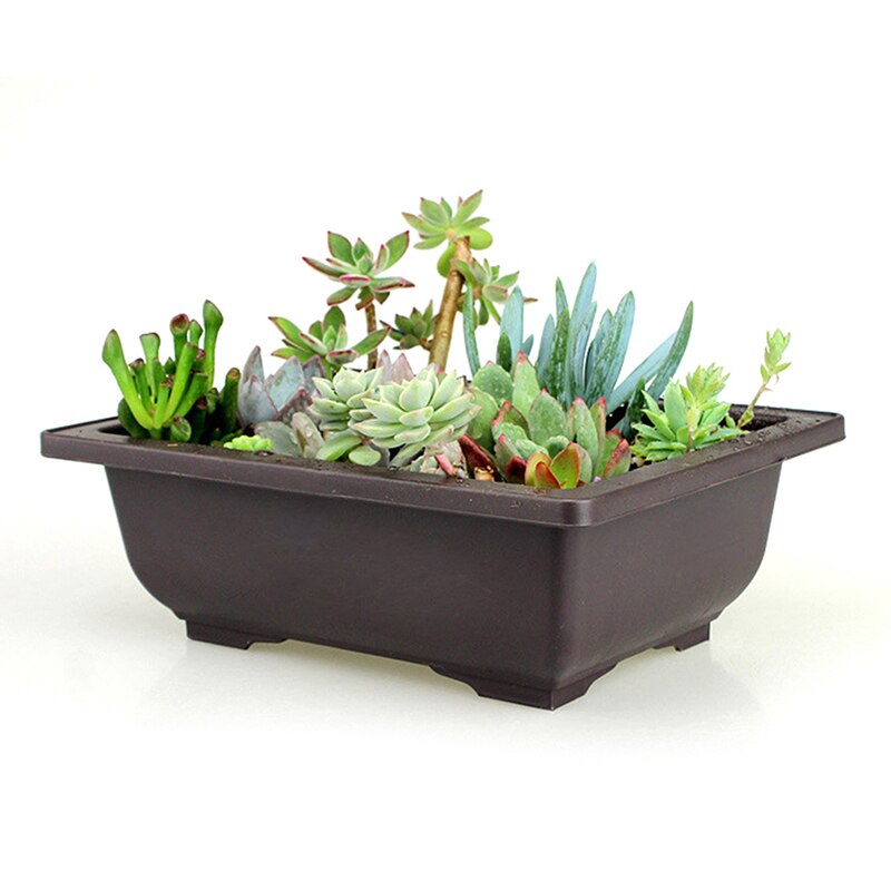 Maceta de plástico para flores, cuenco cuadrado para bonsái, para guardería, cuenco rectangular de imitación, 1 unidad