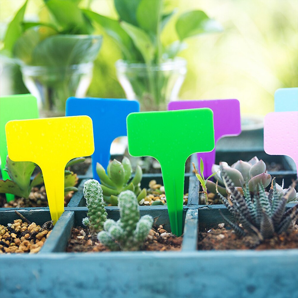 Rotuladores de planta colorida para bonsái de jardín, etiquetas para suculentas, etiquetas de PVC para jardinería, estaca en el suelo, palos para pintar, 100 Uds.