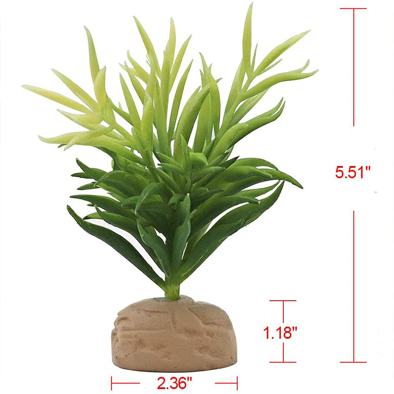 Cachette de poisson en résine, grotte d'aquarium, tortue de paysage, Reptile, bassin, décoration, plante décorative: Only plant