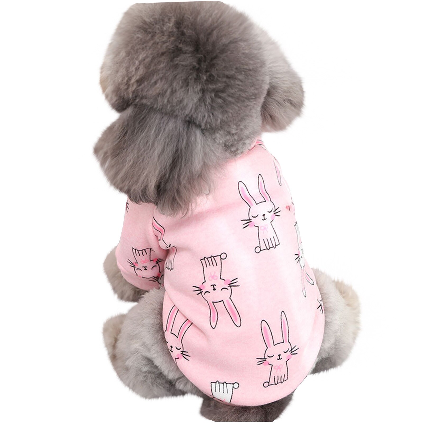autumn and winter Dog Vests sweater cute cartoon style cat cat clothes puppy dog two-legged pet clothing