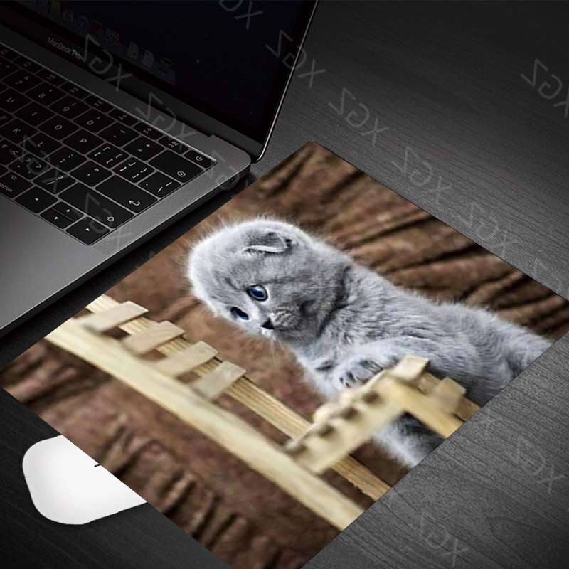 Yzuoan Cute Cat Kitten Animal Keyboard Game Notebook Mouse Pad Game Pad Mouse Desk Mat: 22x18-8