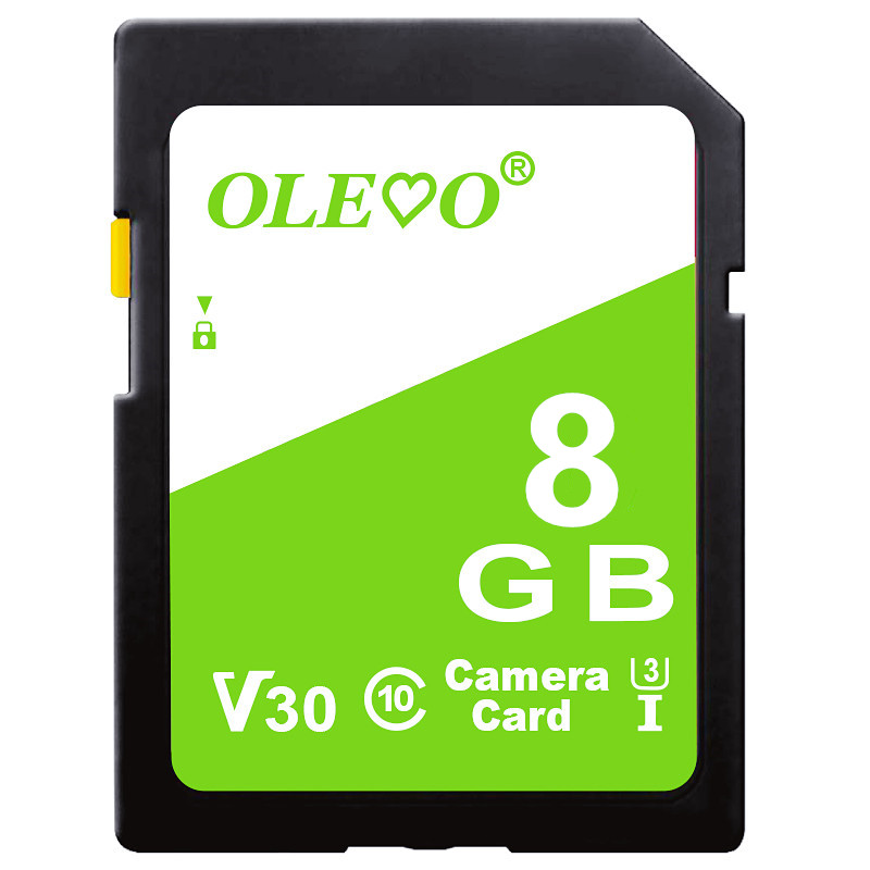 SD Memory Card 16GB 32GB 64GB 128GB 256GB 512GB C10 SD Card for Camera SRL: 8 GB