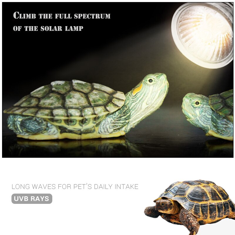 UVA UVB Reptile Lamp Set Lamp Clip-on Bulb Lamp Holder Full Spectrum Sun Spotlight Turtle Tortoises Basking Lamp Heat light Kit