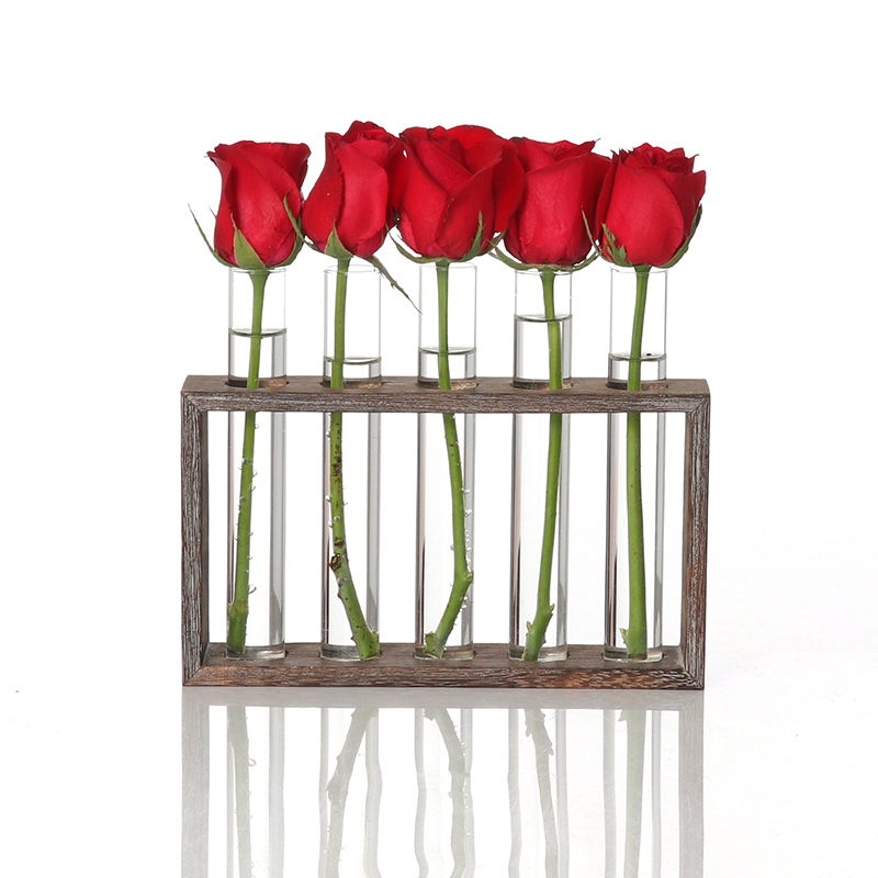 Wasser Pflanzen Glas Vase, Reagenzglas Pflanzer Moderne Blume mit retro Solide Holz Stehen Tabletop