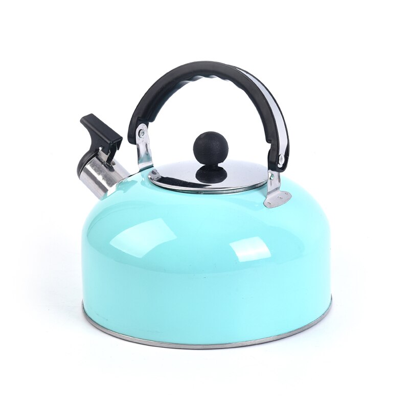 3L Sky Blue Whistling Kettle For Gas Stove Bouilloire 3L Stainless Steel Whistle Tea Kettle Water Bottle