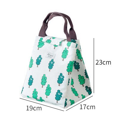 Portable Insulated Lunch Box Portable Cooler Lunch Bag Dinner Container School Food Storage Picnic Trip Cartoon Kids Women: B2  23X17X19CM