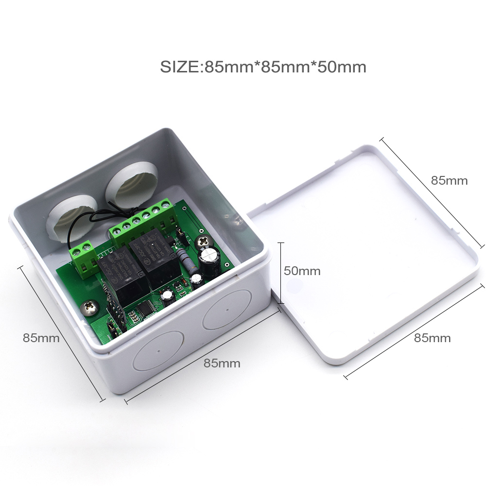 SOMFY RTS Receptor de control remoto para puerta de garaje, cortina automática, 433,42 MHz, 2 canales, SOMFY RTS