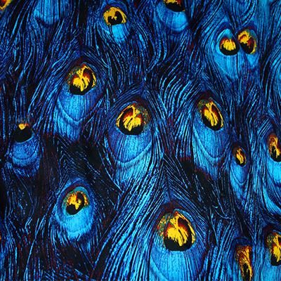 LEO & LIN Herstellen Van Blauwe Pauw Veren Afdrukken Micro Elastisch Satijn Patchwork Katoen Stof Tissus 50cm