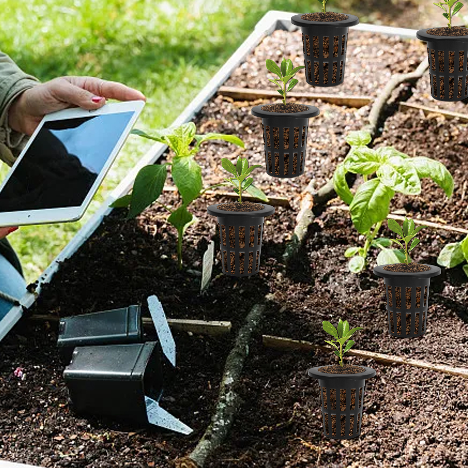 Vasos de red para macetas hidropónicas, cultivo sin suelo para jardín, taza de red de malla ranurada, enrooter de plantas de plástico, cestas de red cultivadas, macetas para vivero