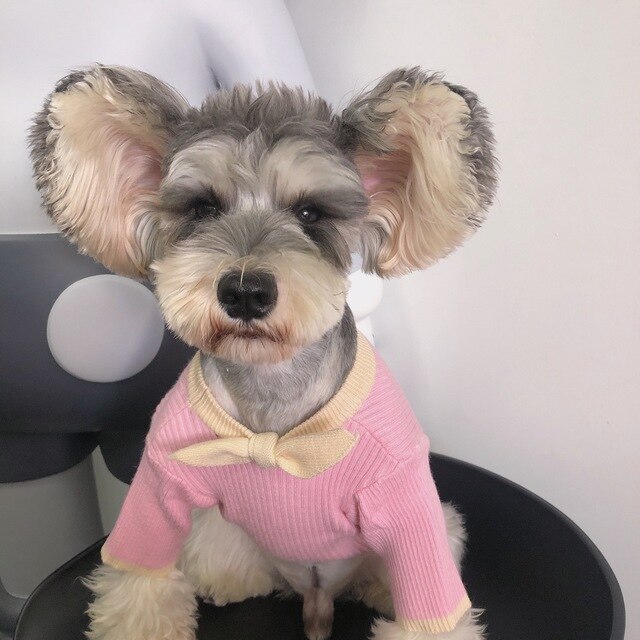 Dog Sweater Bowknot Plain Knit Sweater Cute Small and Medium-sized Dog Schnauzer Teddy Hiromi Cat Fall and Winter Clothing