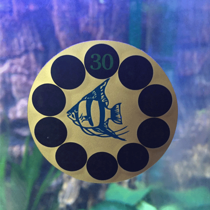 Aquarium fish tank glass patch thermometer LCD monitor aquarium temperature color floating thermometer