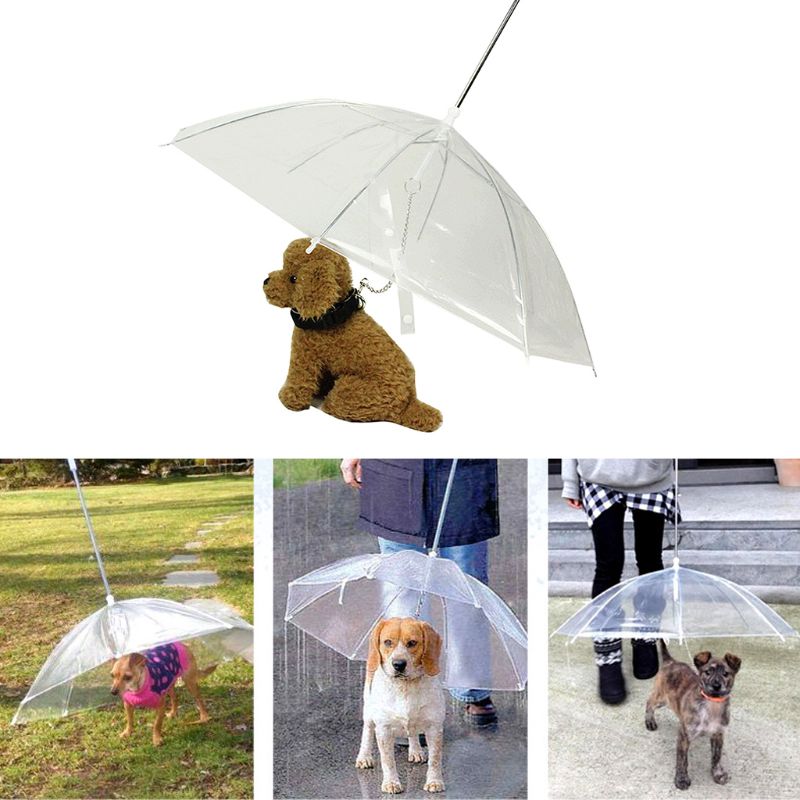 Paraguas transparente portátil para caminar para perros pequeños, gatos y mascotas, con cadena para mantenerse seco en la lluvia, herramienta de engranaje para exteriores